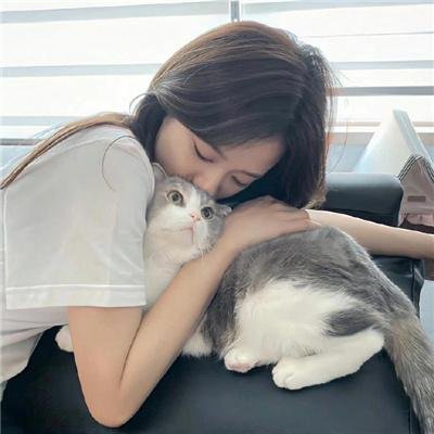 杀人执照